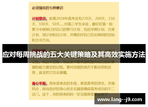 应对每周挑战的五大关键策略及其高效实施方法